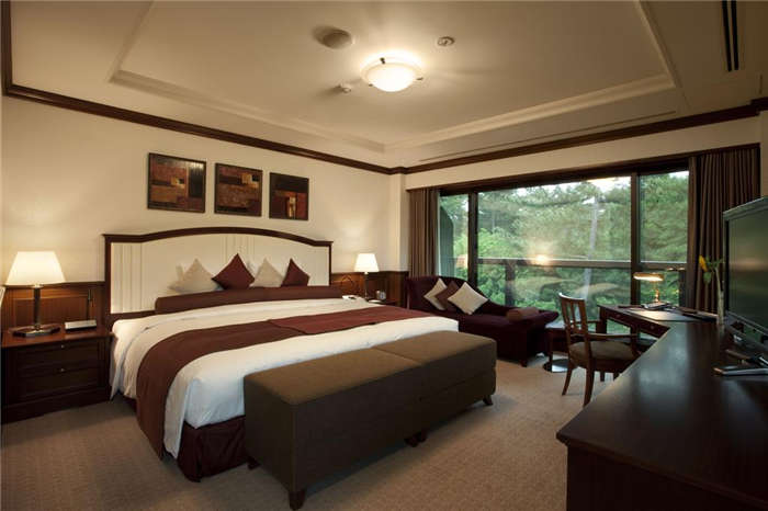 酒店客房空間布局設(shè)計(jì)實(shí)景圖 酒店客房空間布局設(shè)計(jì)實(shí)景圖