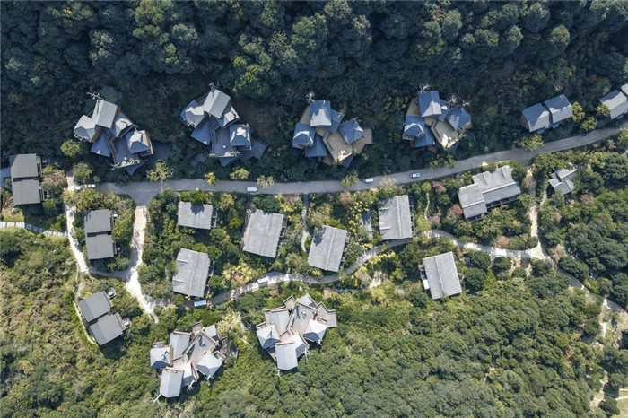 樹屋酒店設(shè)計鳥瞰圖