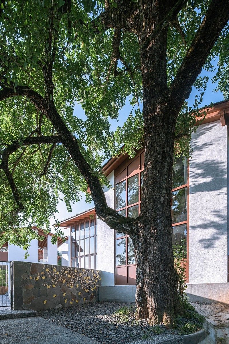 山舍民宿設(shè)計  鄉(xiāng)村老宅改造古樸民宿設(shè)計案例