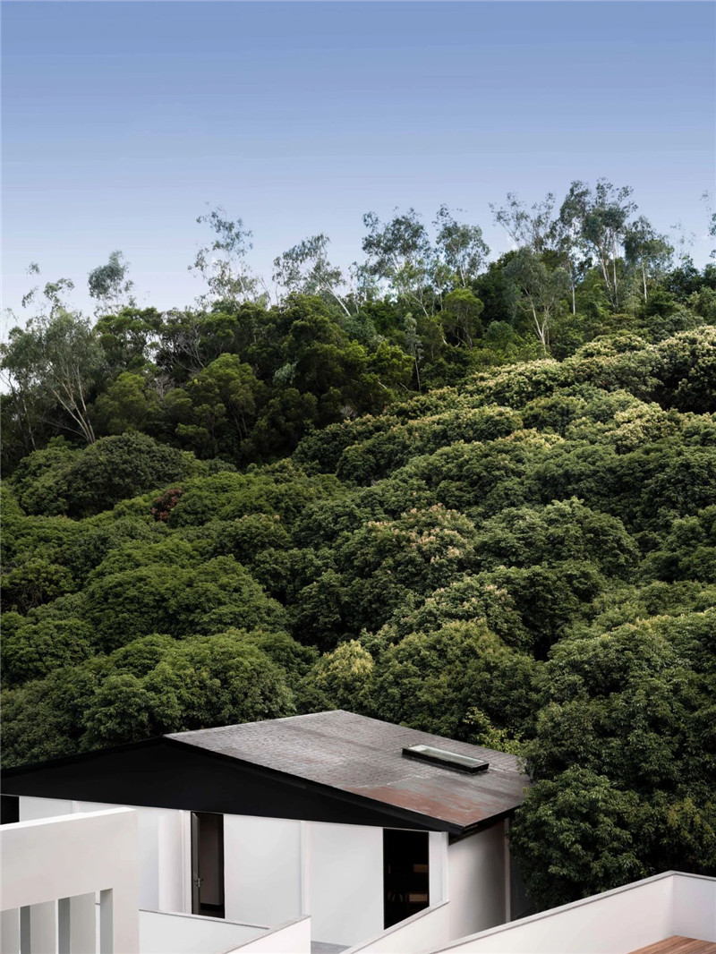 山林之家   深圳苫也·不若林二期民宿設(shè)計